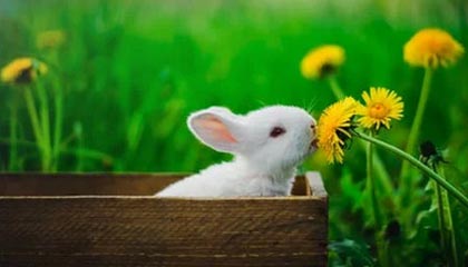 😧家长控诉孙继海青训:孩子因伤退队要自由身 球队却索18万天价